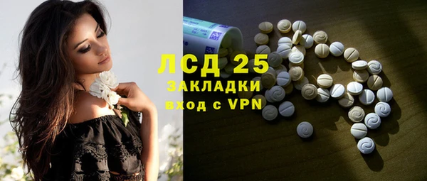 крисы Кодинск
