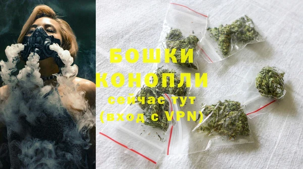 стаф Киренск
