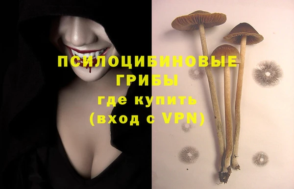 MDMA Premium VHQ Козловка
