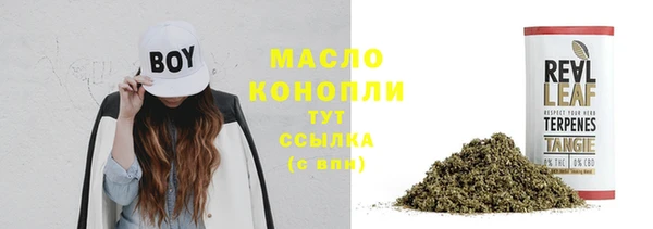 крисы Кодинск
