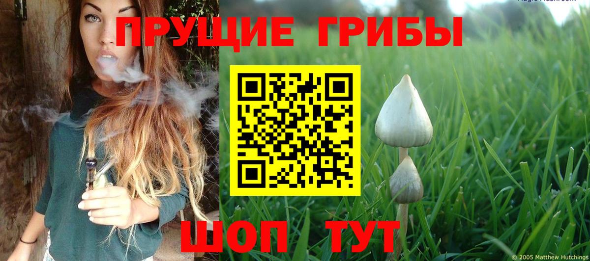 Галлюциногенные грибы ЛСД Киржач