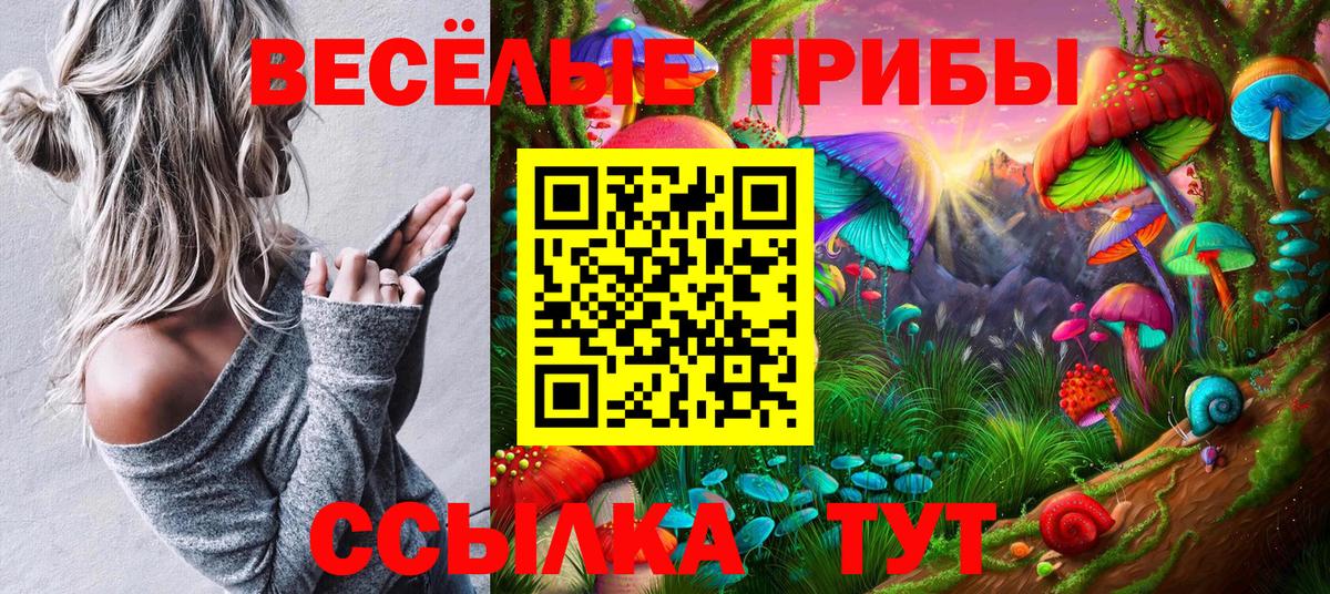 Галлюциногенные грибы Psilocybine cubensis  Вход с VPN  Галлюциногенные грибы ЛСД  Киржач 